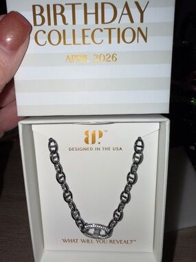 BIRTHDAY COLLECTION April 2026 Gunmetal Chain bracelet with Pavé Charm